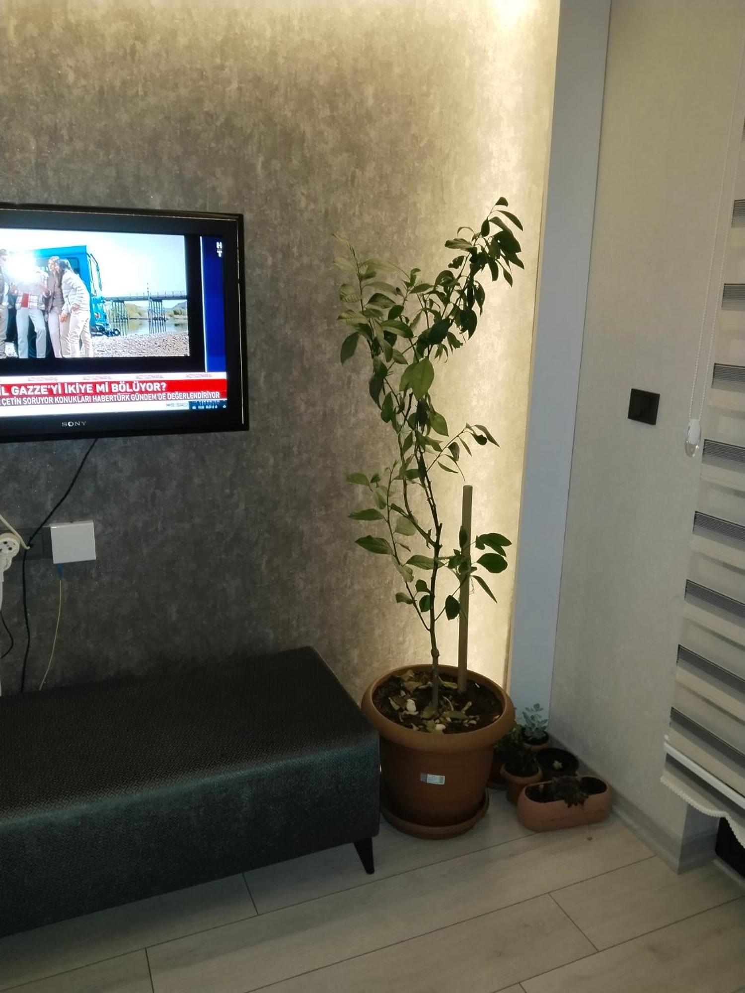 Ankara Esenboga Airport Luxury Rezidance Apart Ngoại thất bức ảnh
